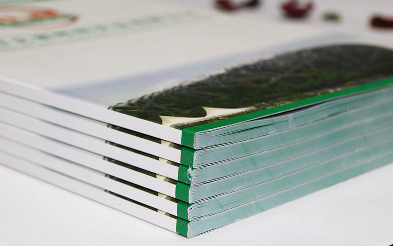 照明畫冊印刷,LED畫冊印刷,燈飾畫冊印刷 照明畫冊印刷,LED畫冊印刷,燈飾畫冊印刷