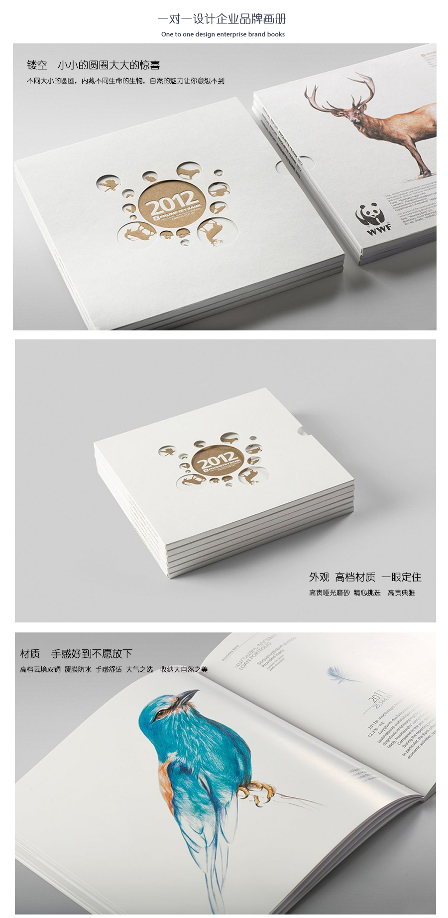 精美生物畫冊、精裝畫冊