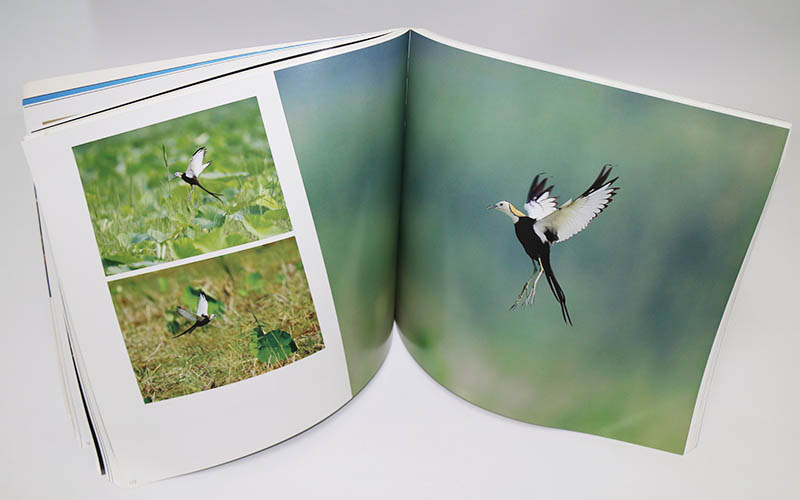 畫冊印刷,畫冊設計,宣傳畫冊印刷